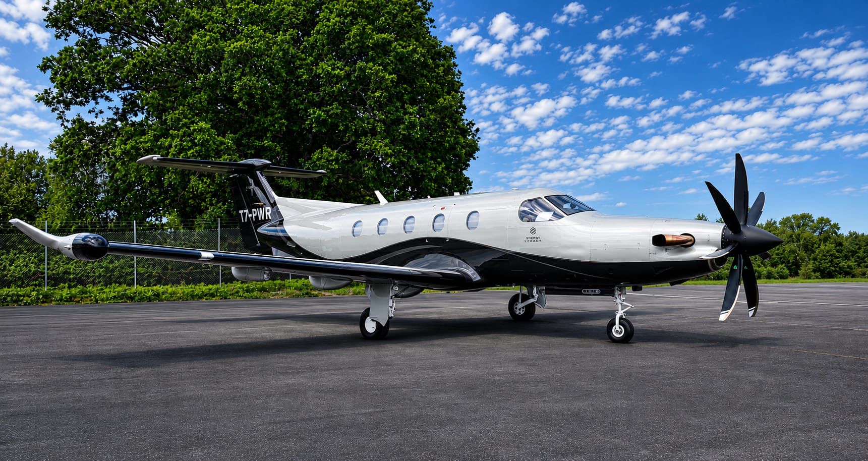 Aircraft paint and finishing work